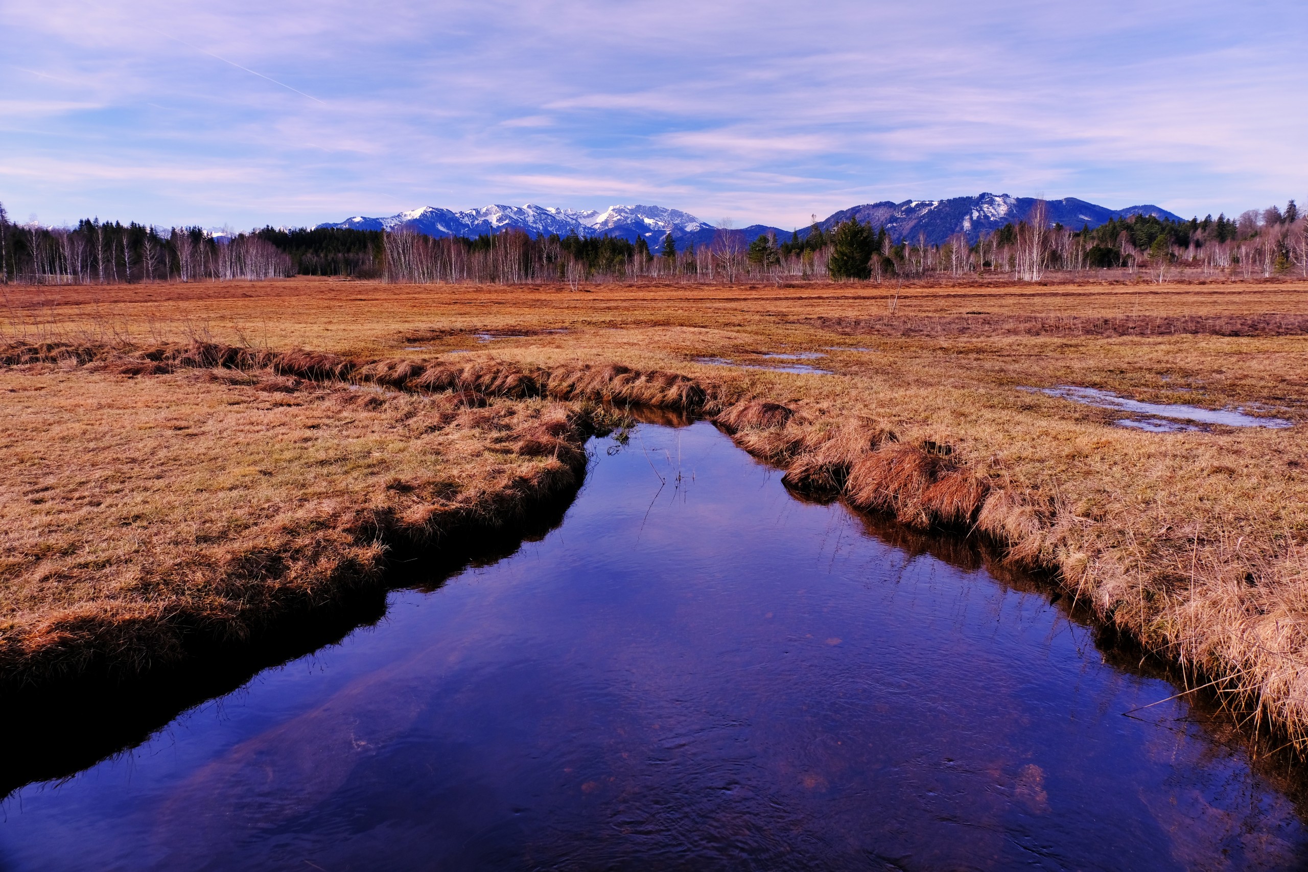 Ellbacher Moor